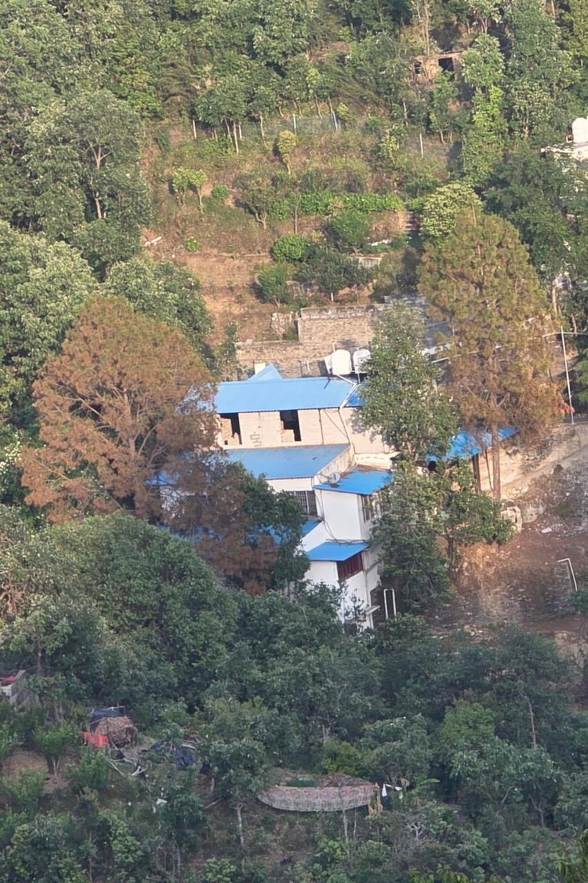 Pine Ridge Landscape & Forest Canopy in Kasauli